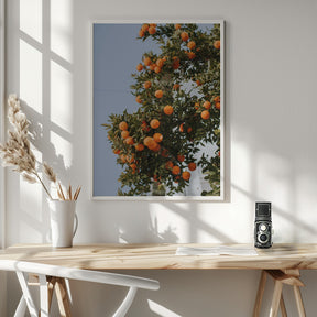 Oranges in Seville Poster