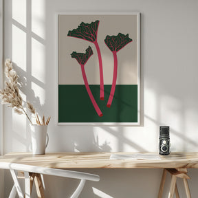 Swedish Garden Rhabarber Poster