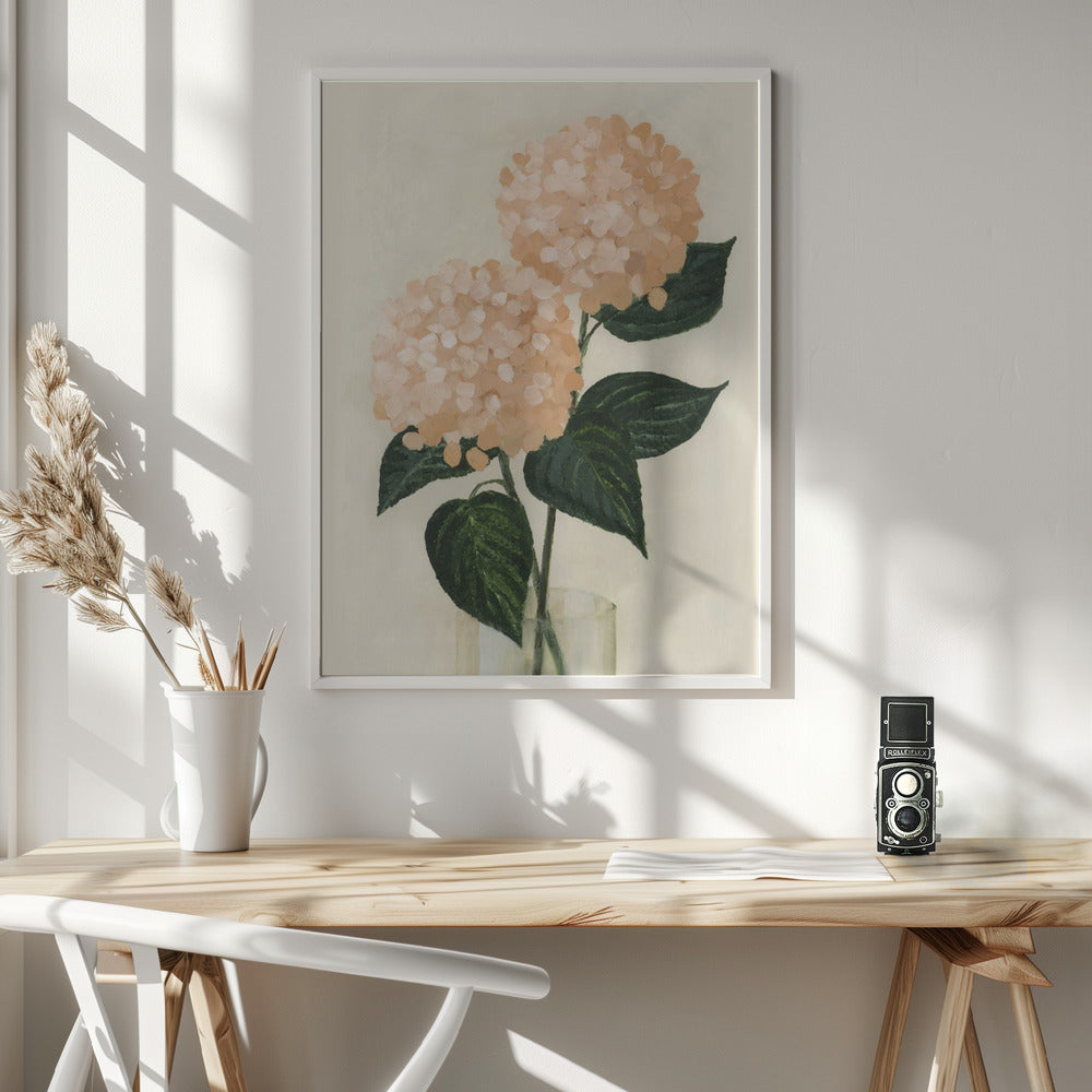 Coral hydrangeas in a vase Poster