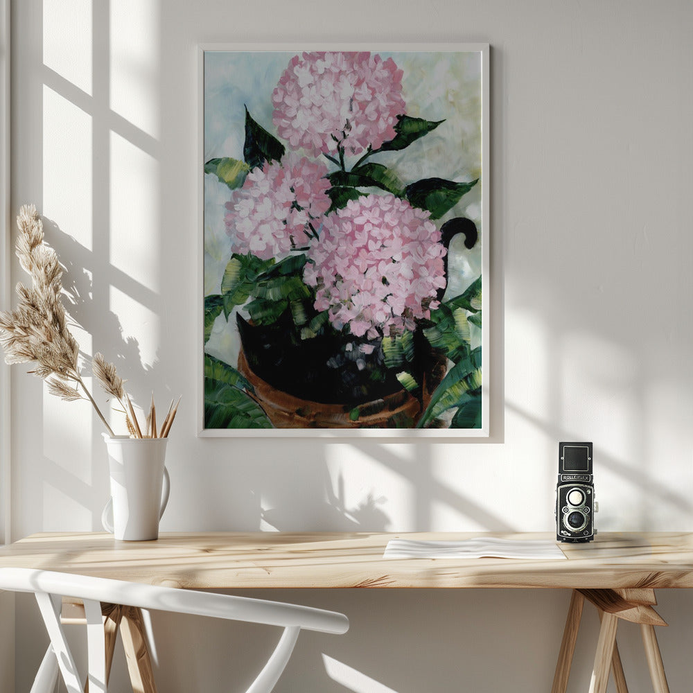 Potted pink hydrangeas Poster