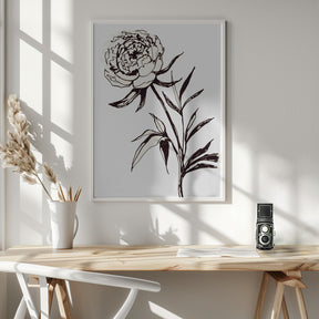 Loose peony ink sketch Poster