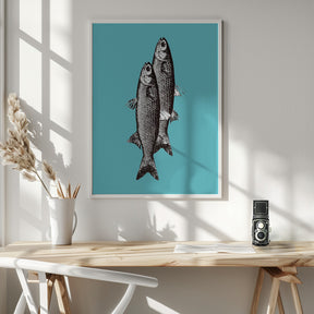 Sardinas Poster