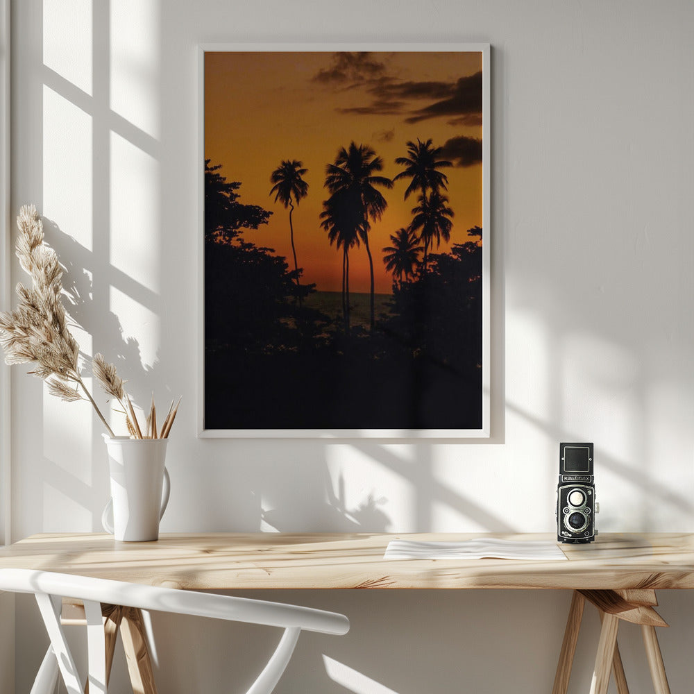 Squiggly Palm Sunset Poster