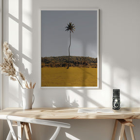 Puerto Rican Palm Tree Poster