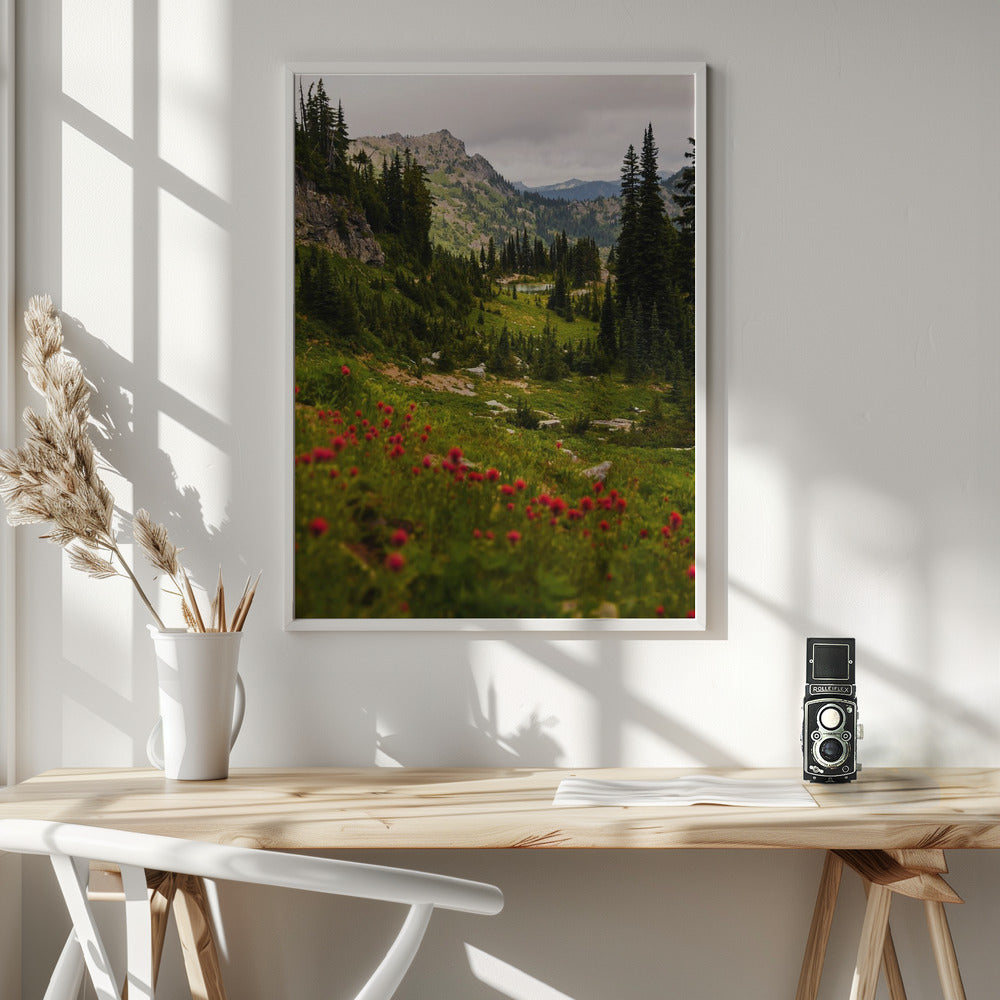 Mount Rainier Paintbrush Poster