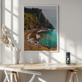 Ragged Point Poster