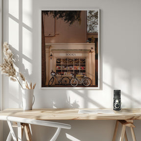 Books &amp; Bicycles Poster