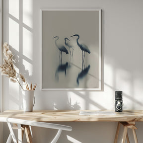 Birds In Lake Poster