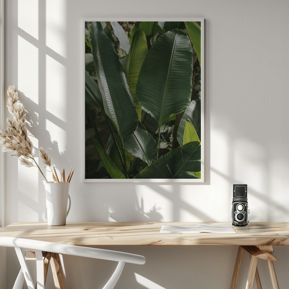 Banana Leaves Poster