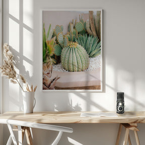 Cactus Love | Marrakech Travel Photography Poster