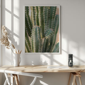 Gold &amp; Green Cacti Marrakech Poster