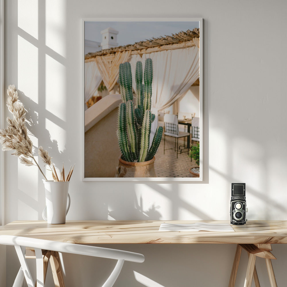 Rooftop Cactus | Morocco Travel Photography Poster