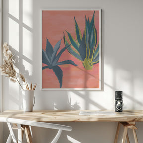 Pink Coral Cacti Poster