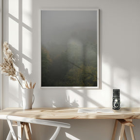 Foggy Autumn Forest Poster