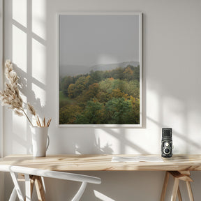 Autumn Forest Canopy | Serene Landscape Photography Poster