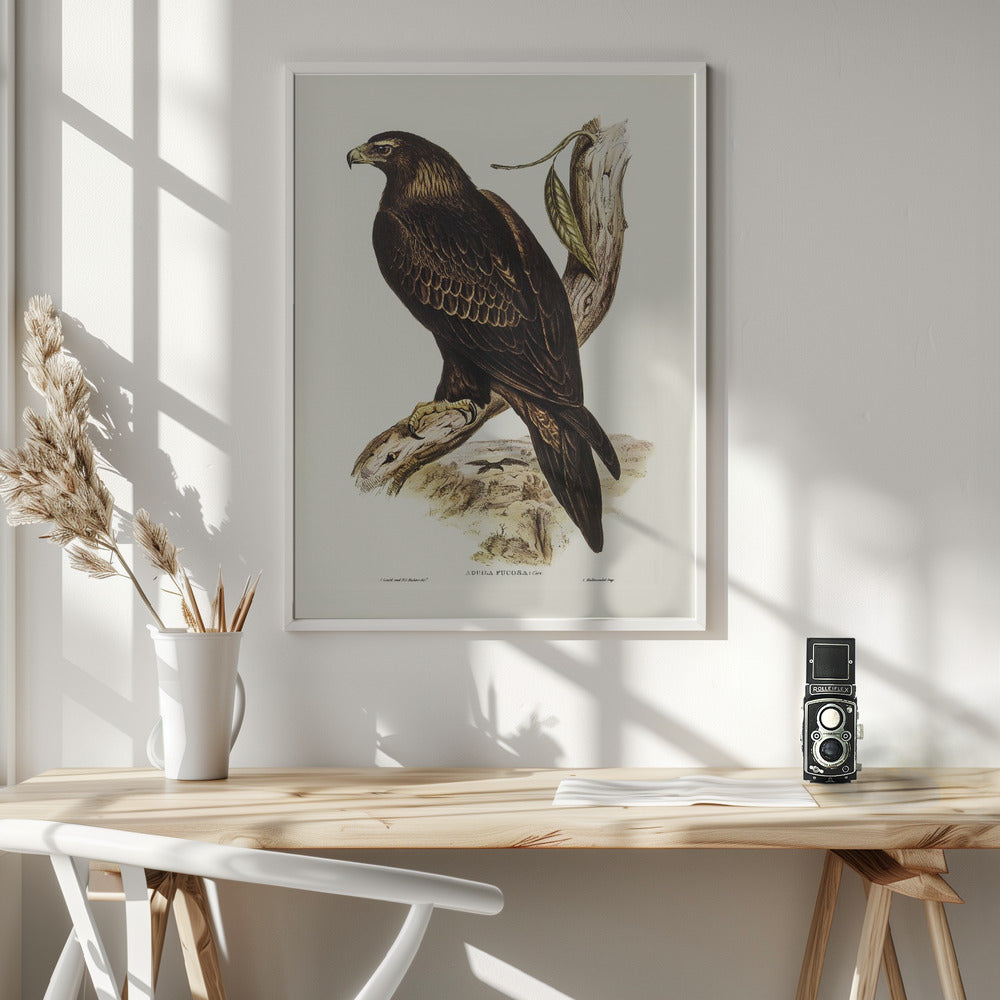 Wedge Tailed Eagle Poster