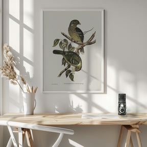 Cat Bird Poster