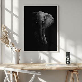 Elephant! Poster