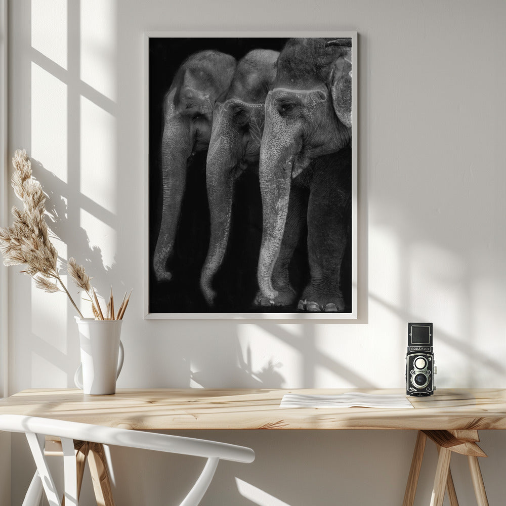 Nature\'s great masterpiece, an elephant; the only harmless great thing ... Poster