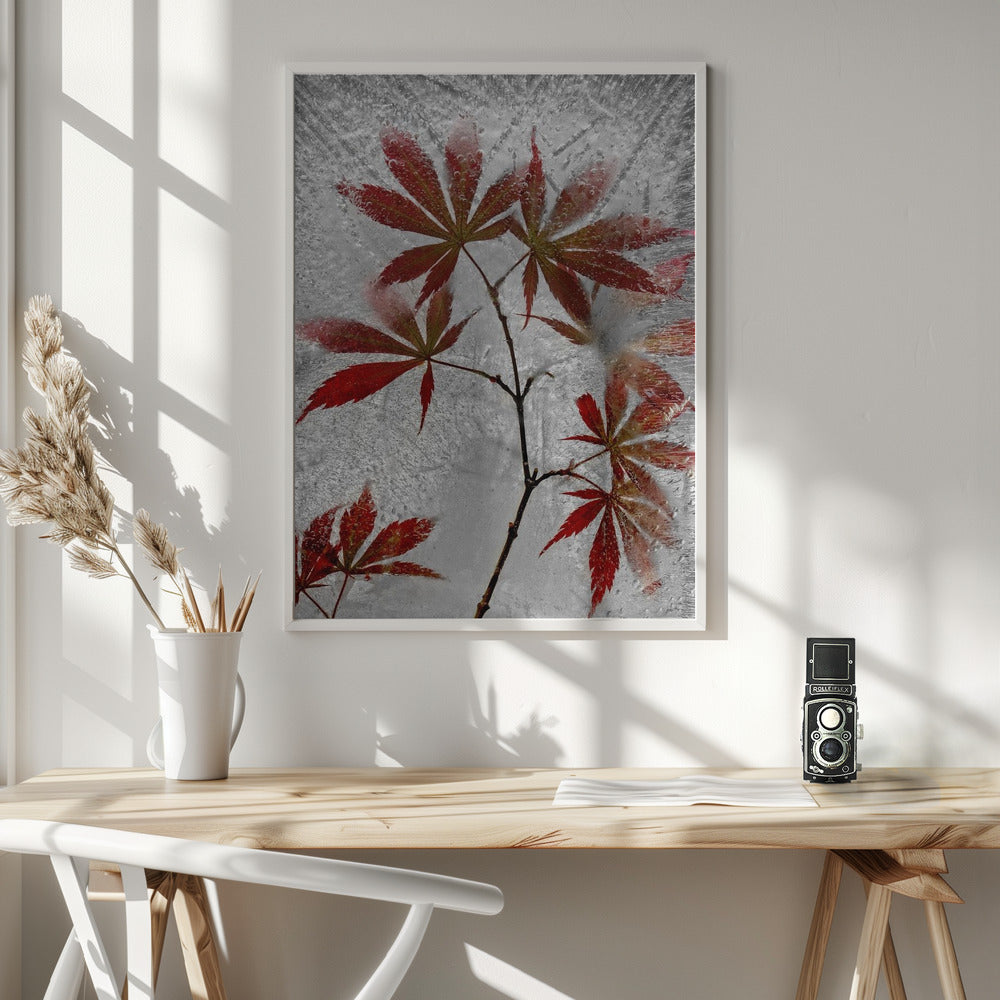 red maple Poster