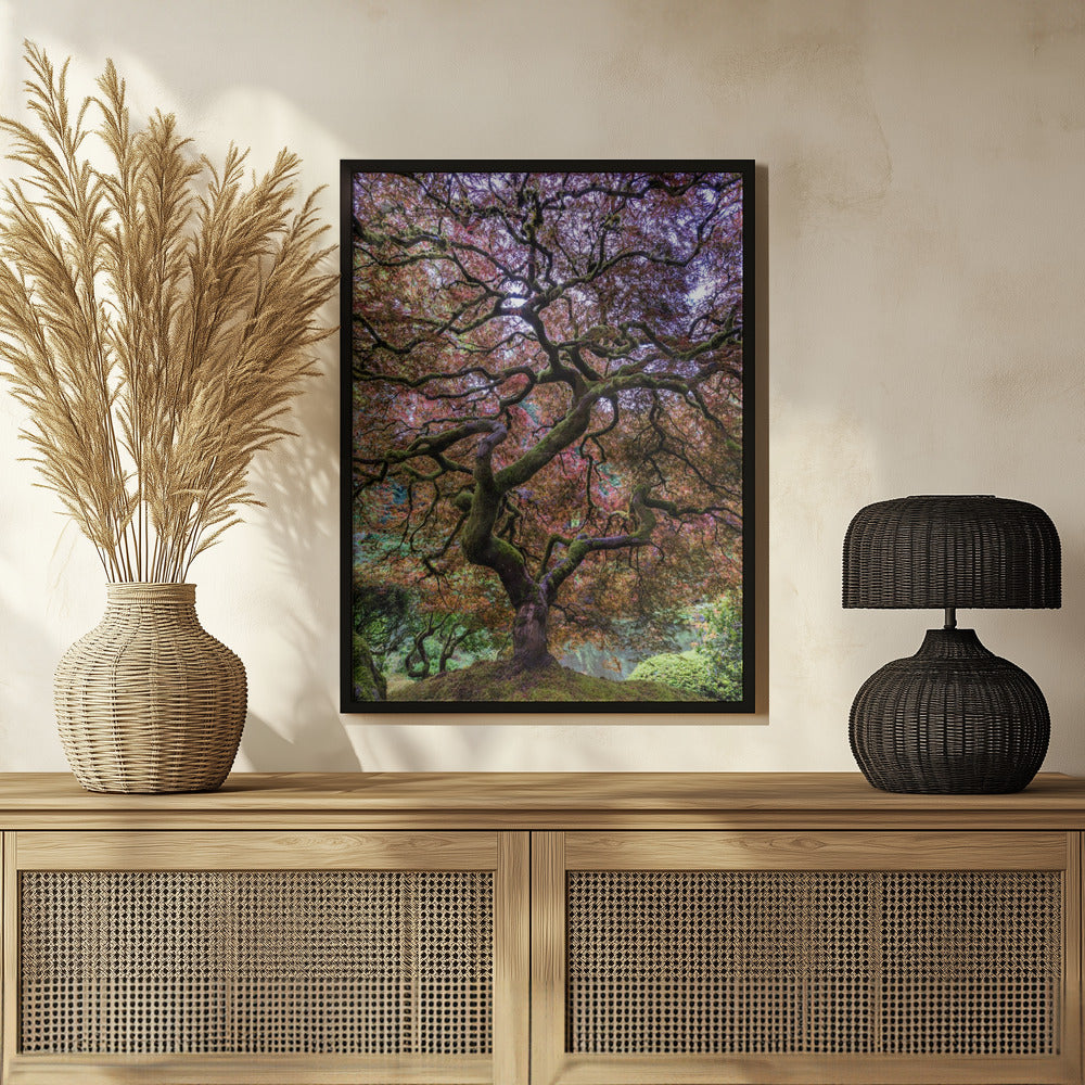 Japanese Maple Tree Poster