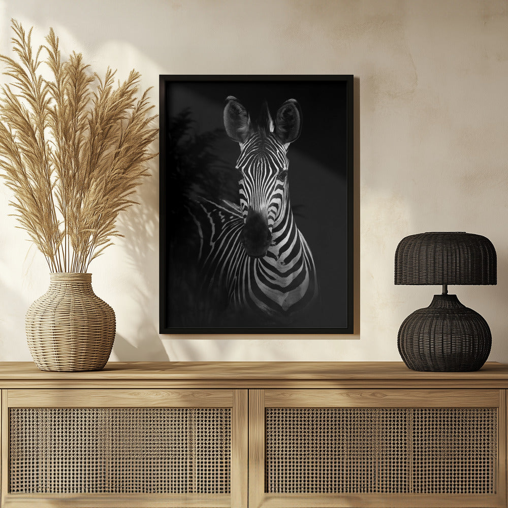 The Zebra Poster