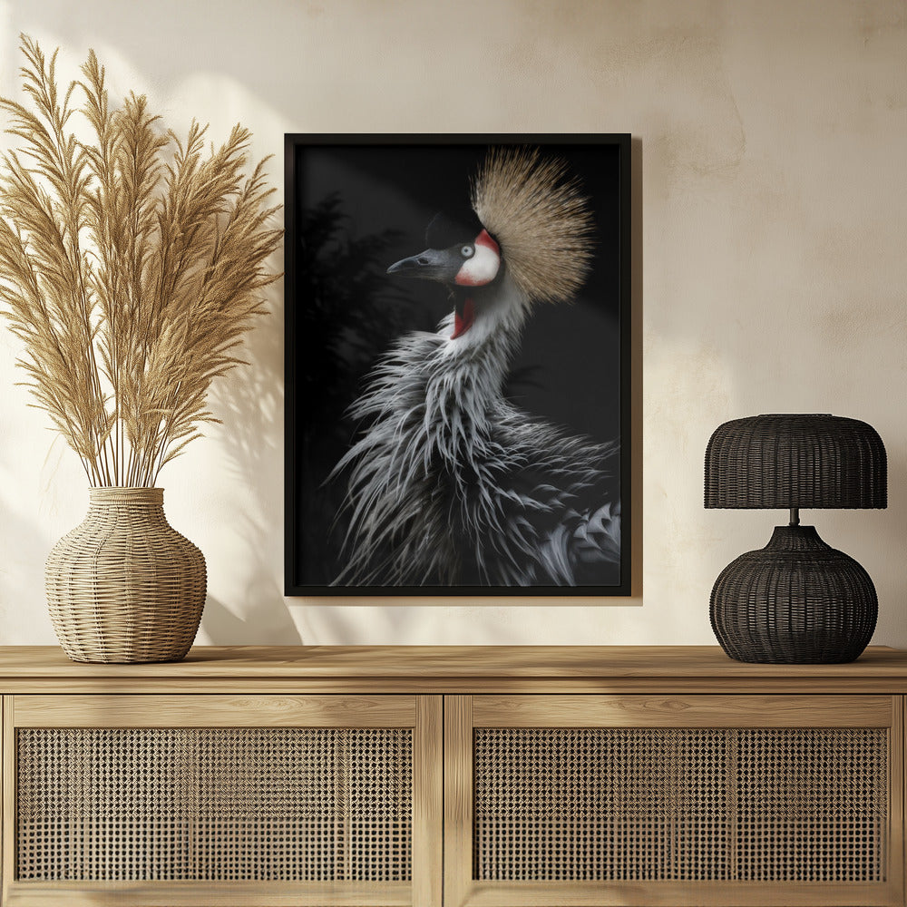 Crowned crane's portrait Poster