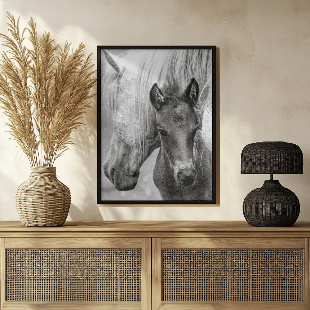 The Foal Poster