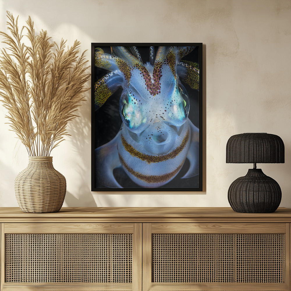 Squid close up Poster