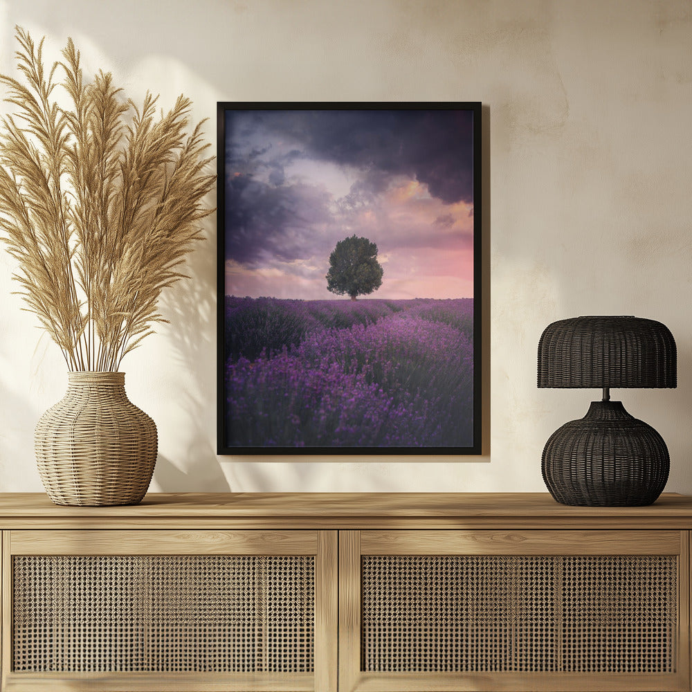 Lavender Fields, Isparta Poster