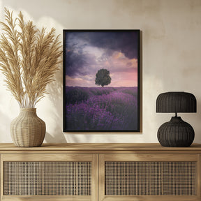 Lavender Fields, Isparta Poster