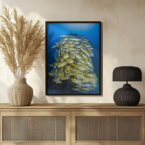 Fish Tower Poster