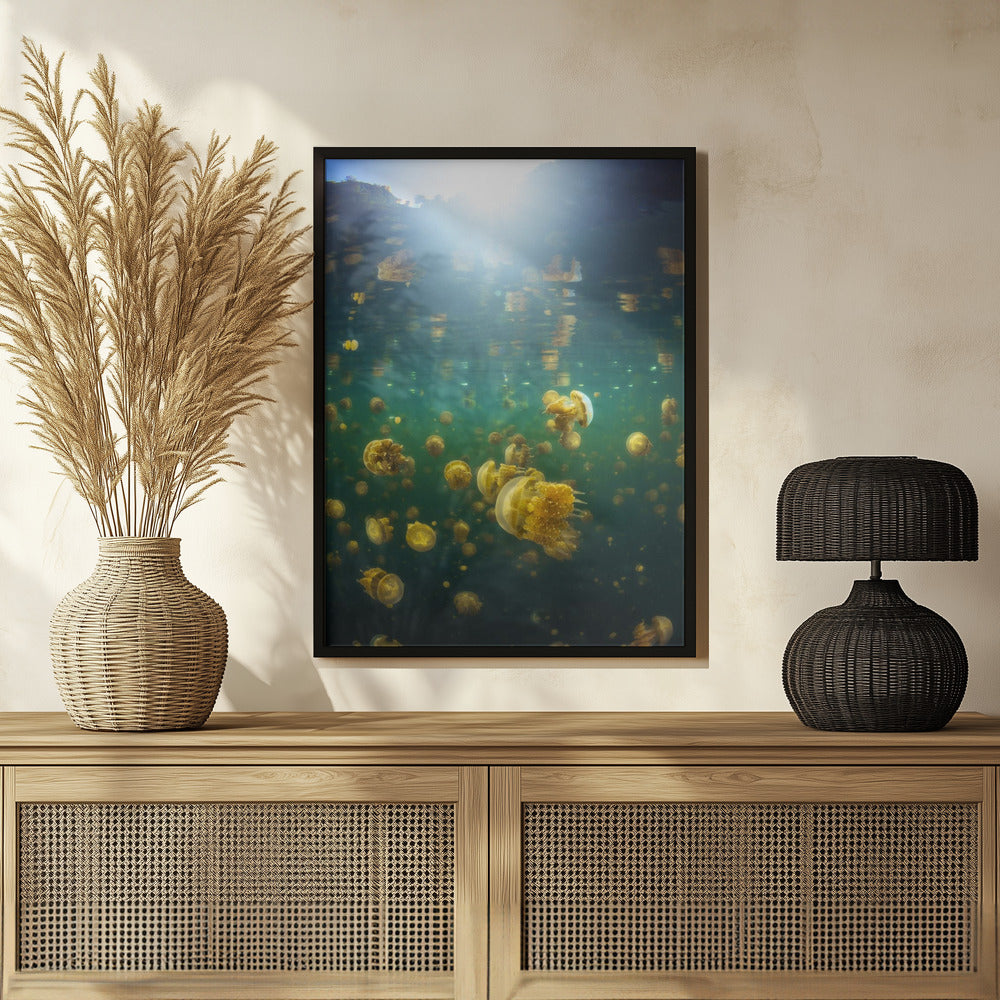 Lenmakana Jellyfish Poster