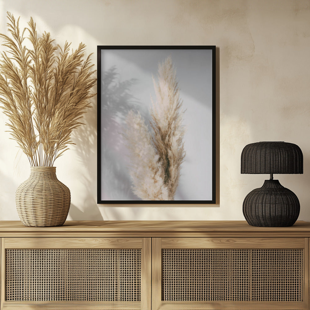 Pampas Grass Grey Poster