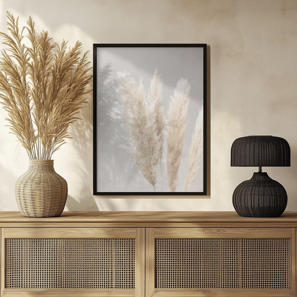 Pampas Grass Grey 02 Poster