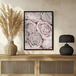 Pink Roses No 01 Poster