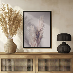 Pampas Grass Poster