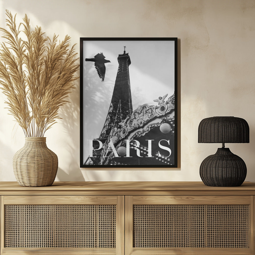 Paris Dove Poster