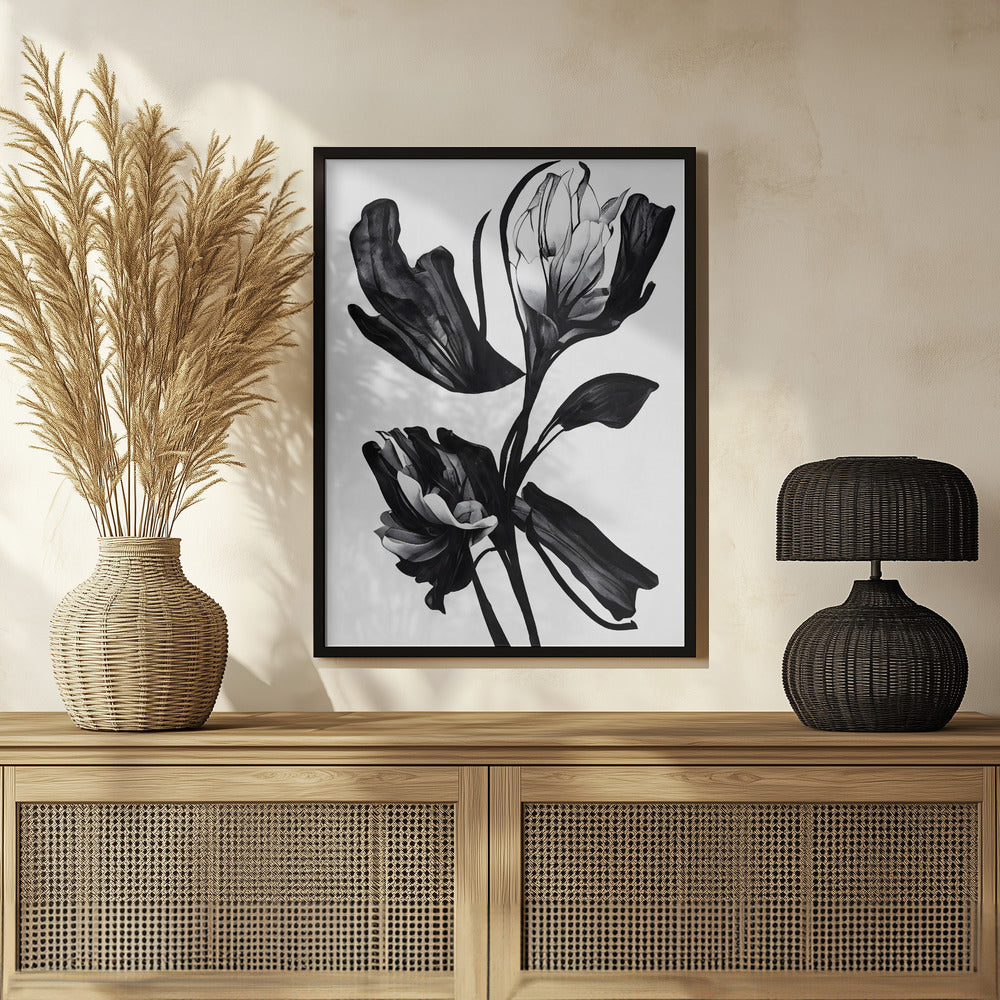 Black Flower Poster