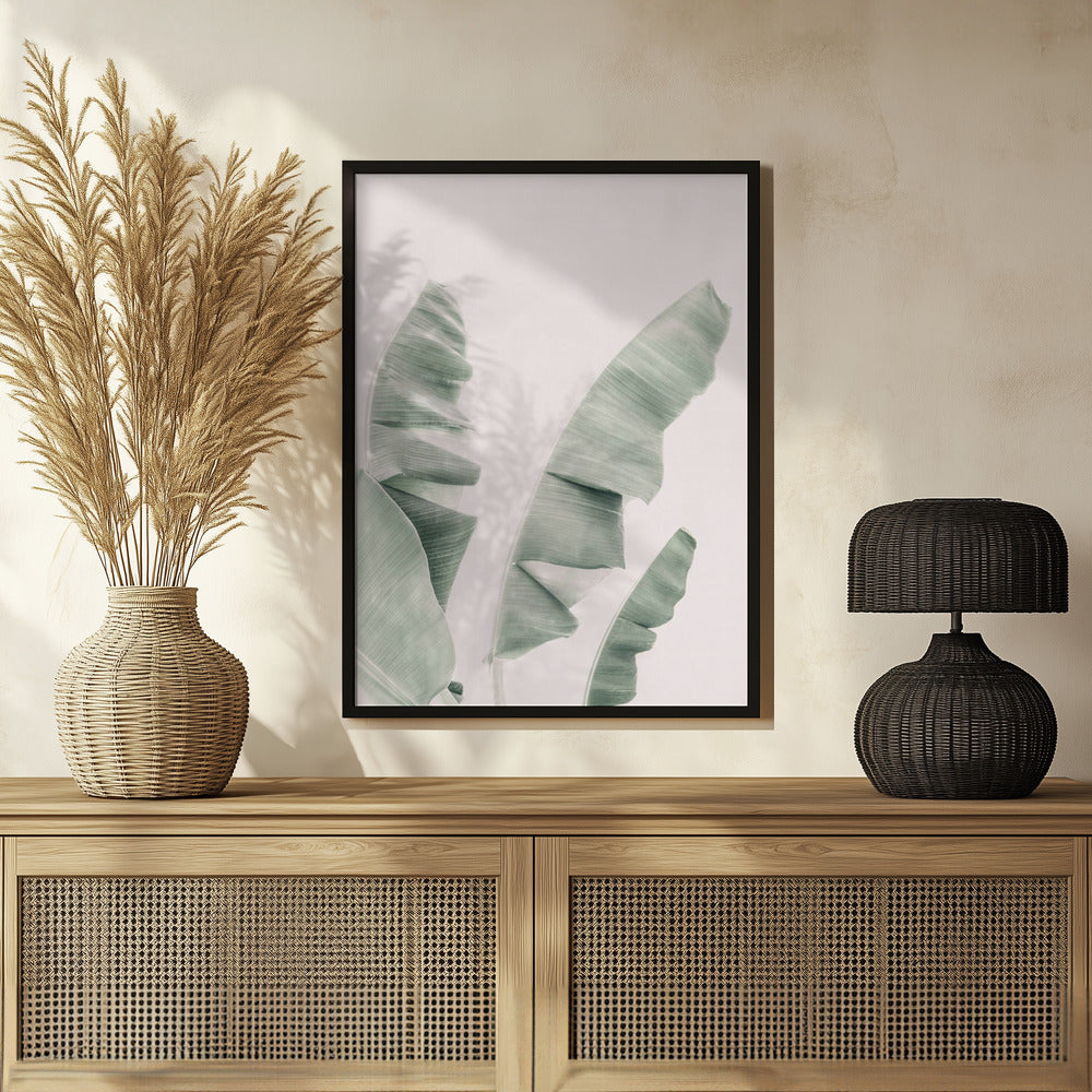 Blush Banana Leaves Poster