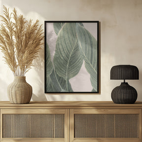 Calla Leaf Poster