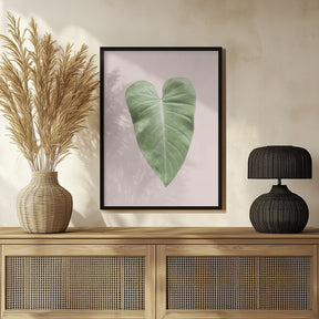 Tropical Leaf Blush Poster