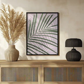 Palm Leaf Shadow Poster