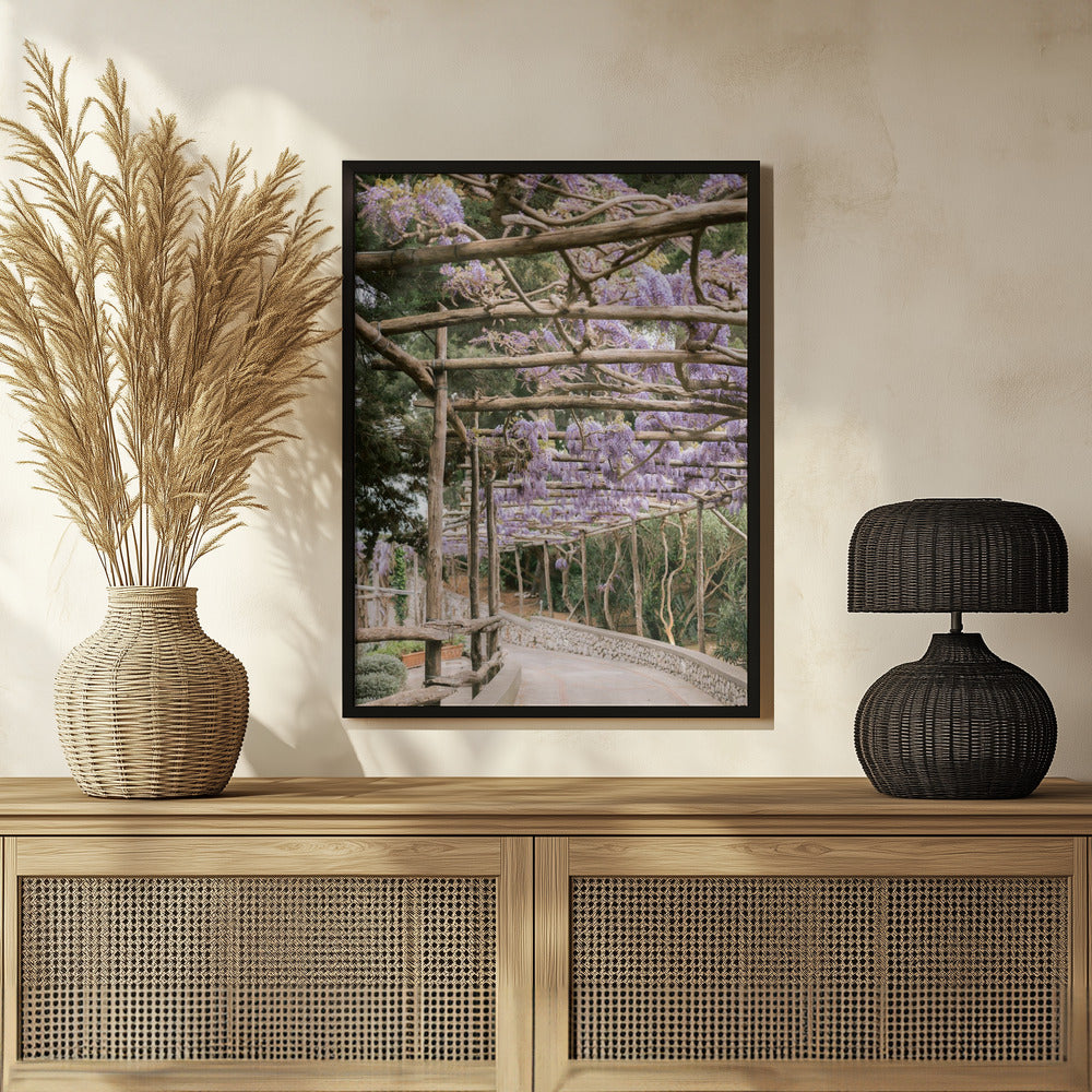 The Lavender Walkway Poster