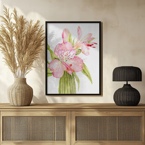 Pink watercolor alstroemeria Poster