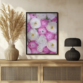 Scattered ranunculus in pink II Poster