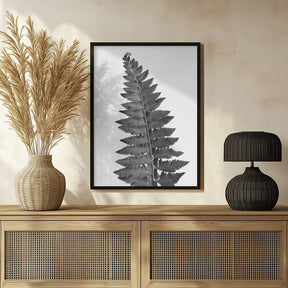 Gray fern leaf Poster