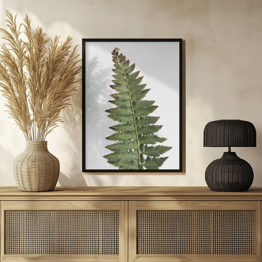 Green fern Poster