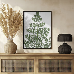 Green dainty leaves Poster