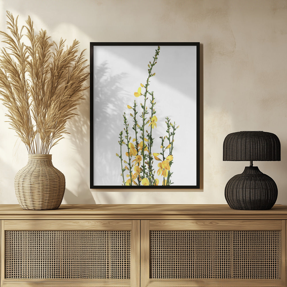 Yellow blooms Poster